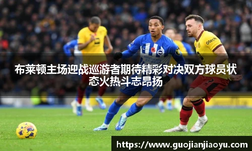 BB贝博
